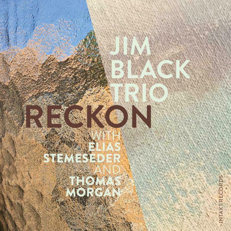 Jim Black Trio - Reckon - Cd