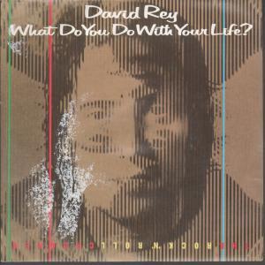David Rey - What Do You Do With Your Life - 7 Inch