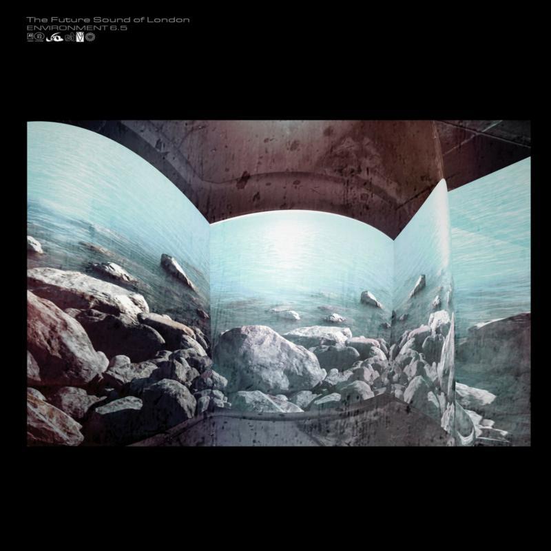 Future Sound Of London - Environment 6.5 - Lp
