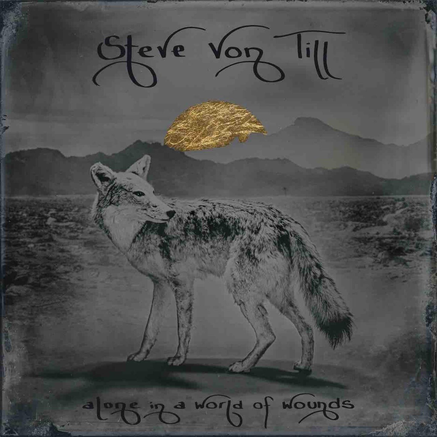 Steve Von Till - Alone In A World of Wounds - Cd