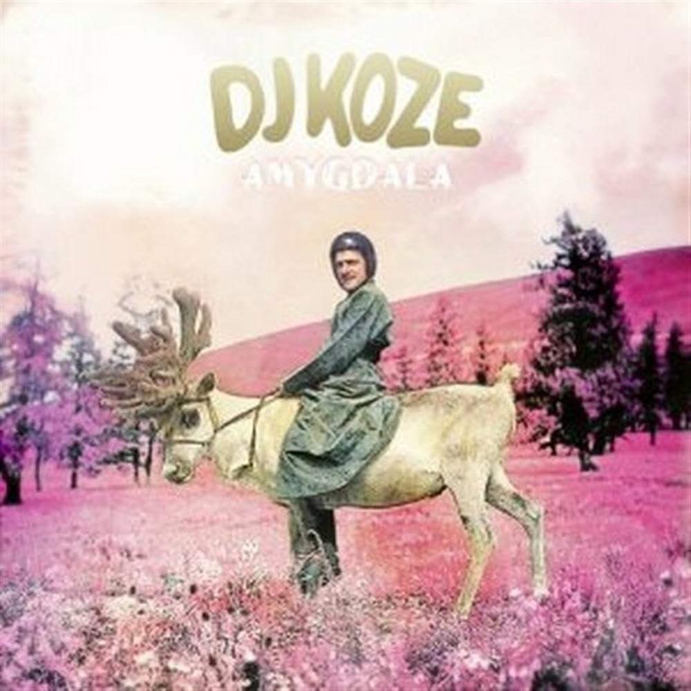 DJ Koze - Amygdala - Double 12 Inch
