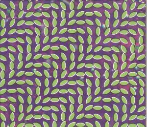 Animal Collective - Merriweather Post Pavillion - Cd
