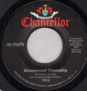 Ray Chayfin - Greenwood Township - 7 Inch