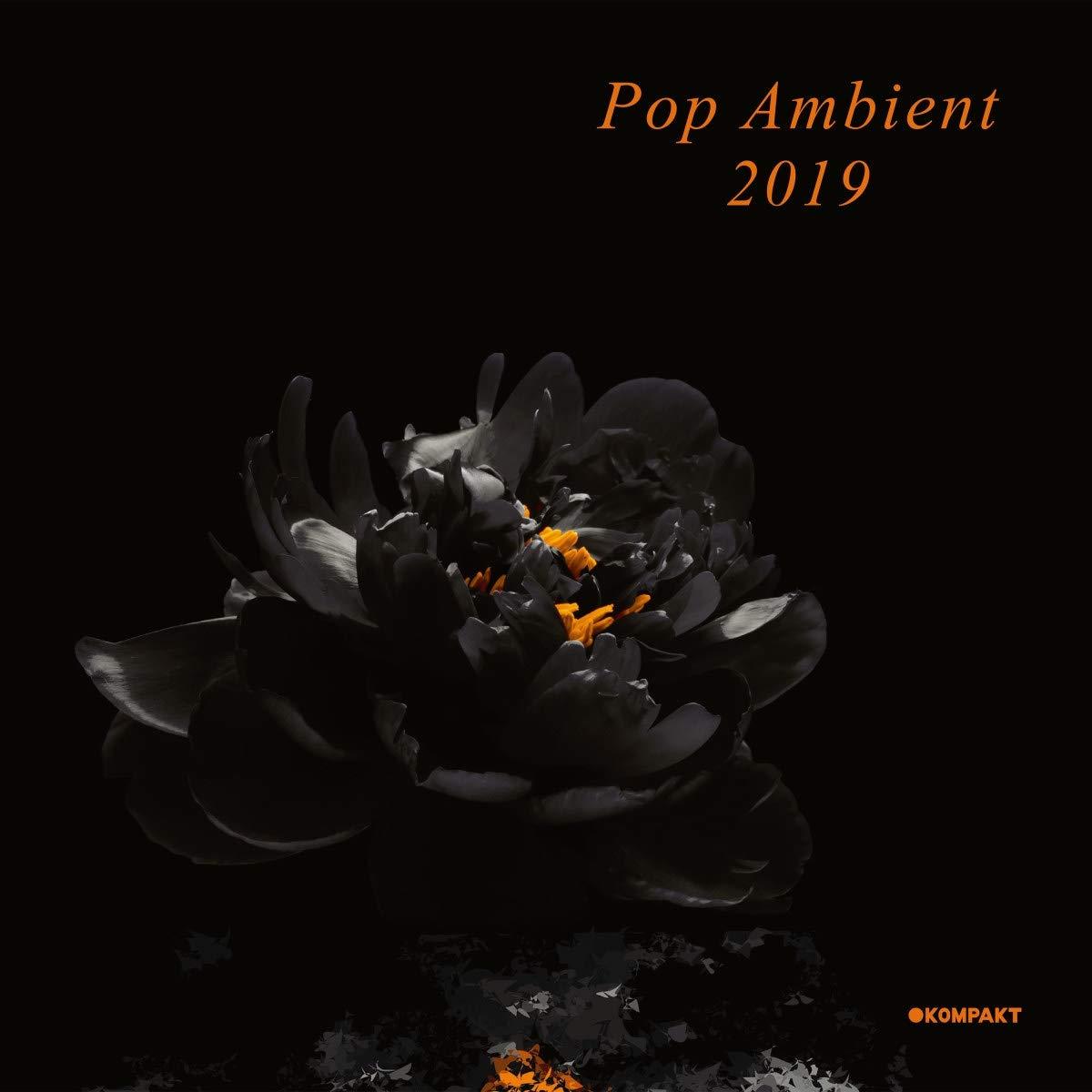 Various Artists - Pop Ambient 2019 - Double Lp