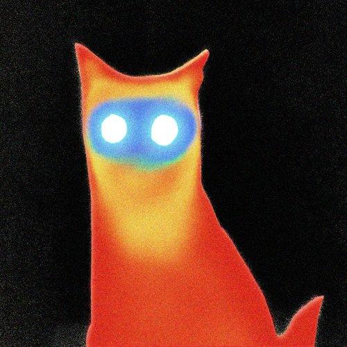 Basement - Wired - Cd
