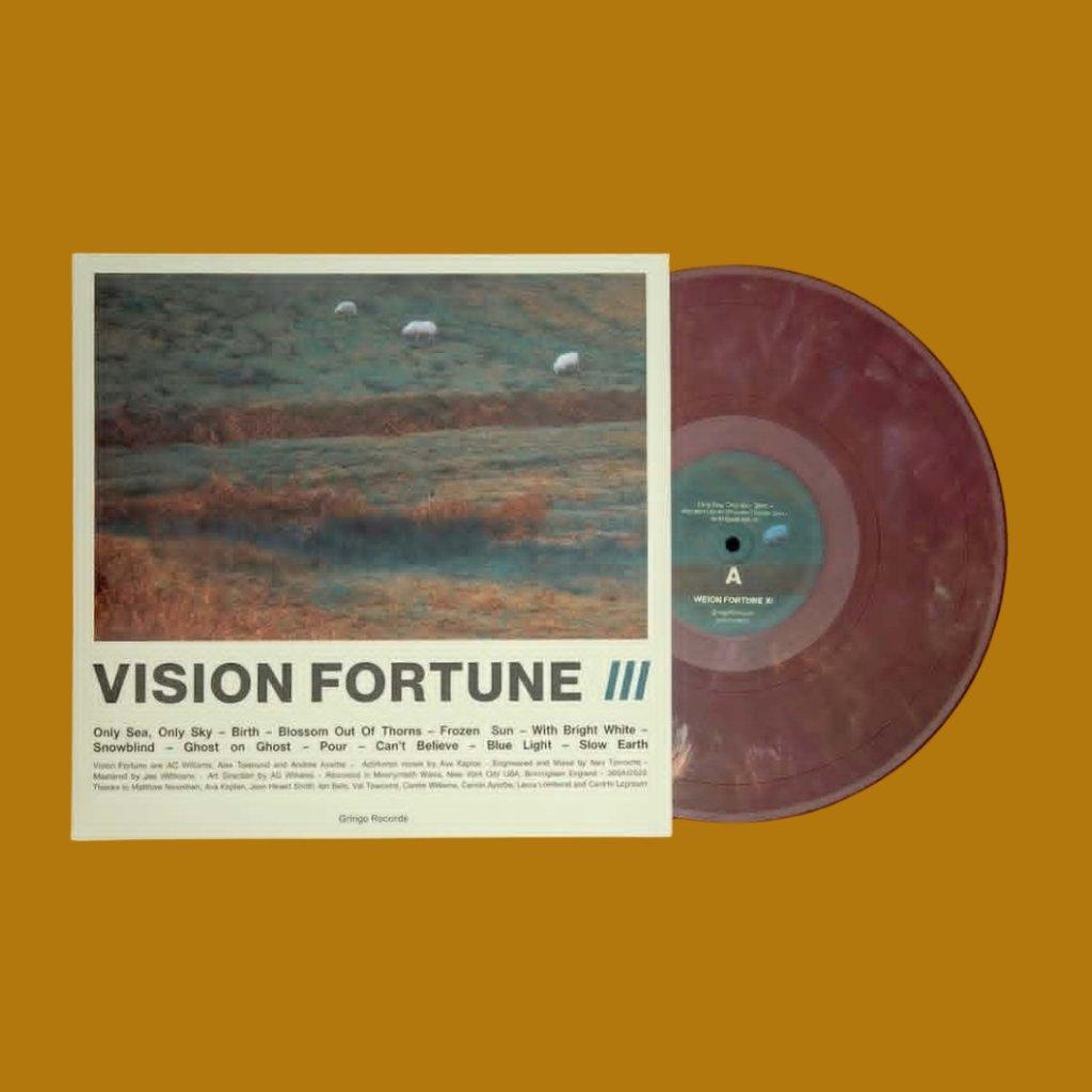 Vision Fortune - III - Lp