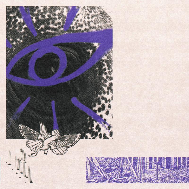 Hippo Campus - Lp3 - Cd