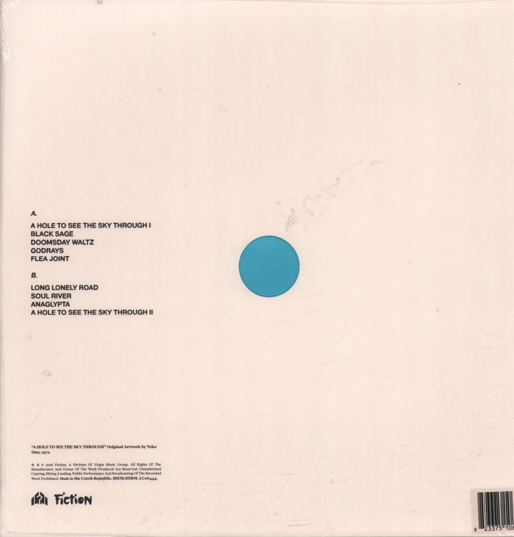 Mystery Jets - A Hole To See the Sky Through - Lp