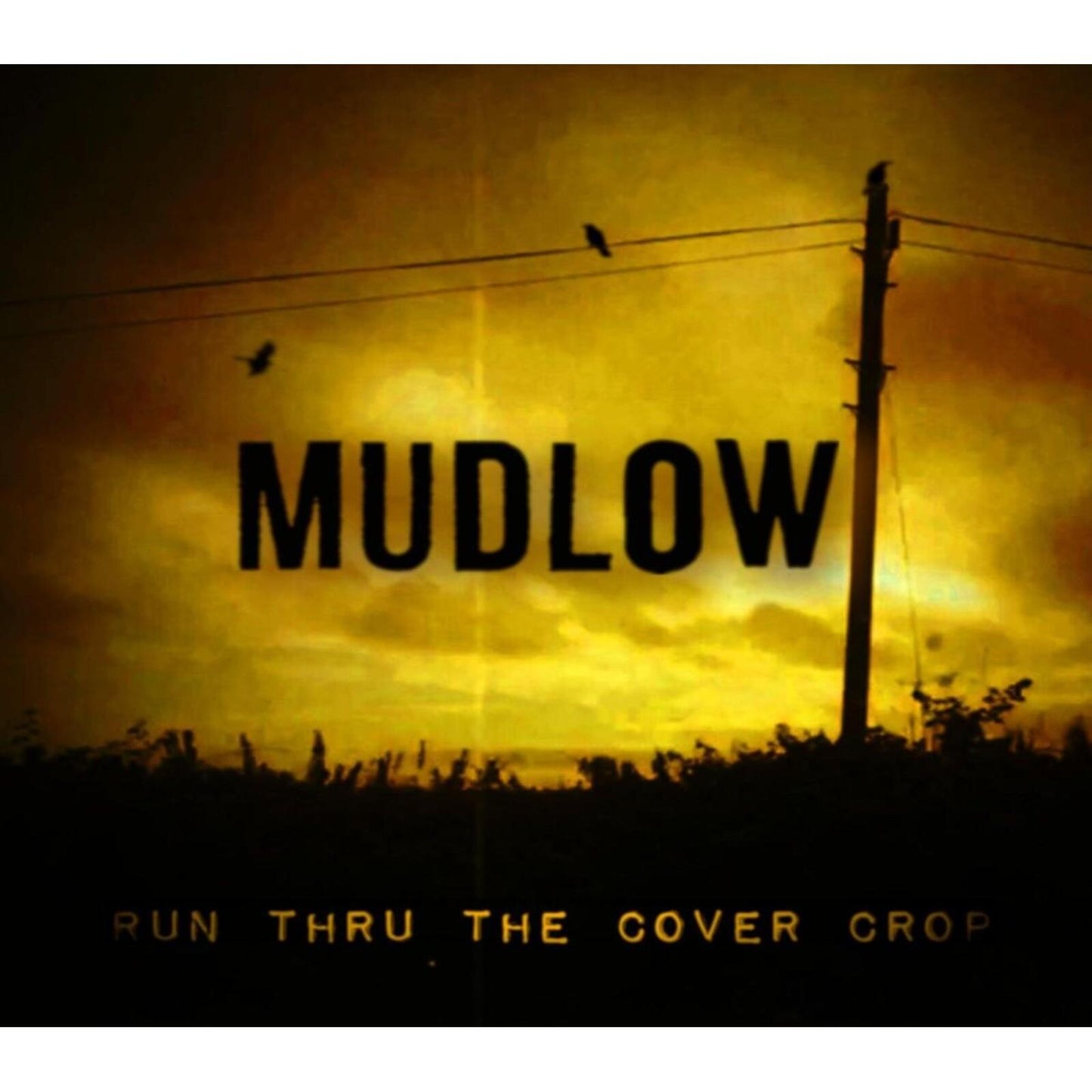 Mudlow - Run Thru the Cover Crop - Lp