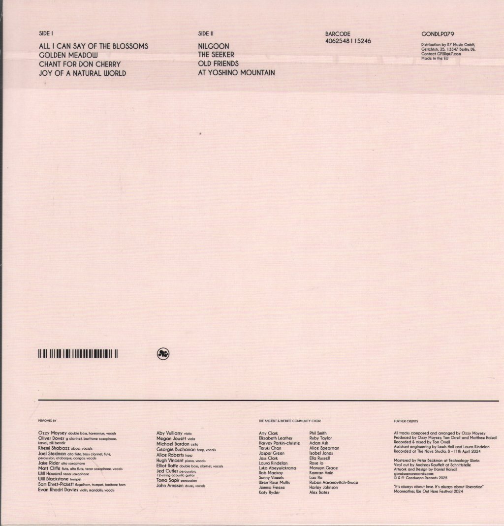 Ancient Infinity Orchestra - It's Always About Love - Lp