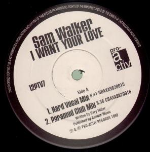 Sam Walker - I Want Your Love - 12 Inch