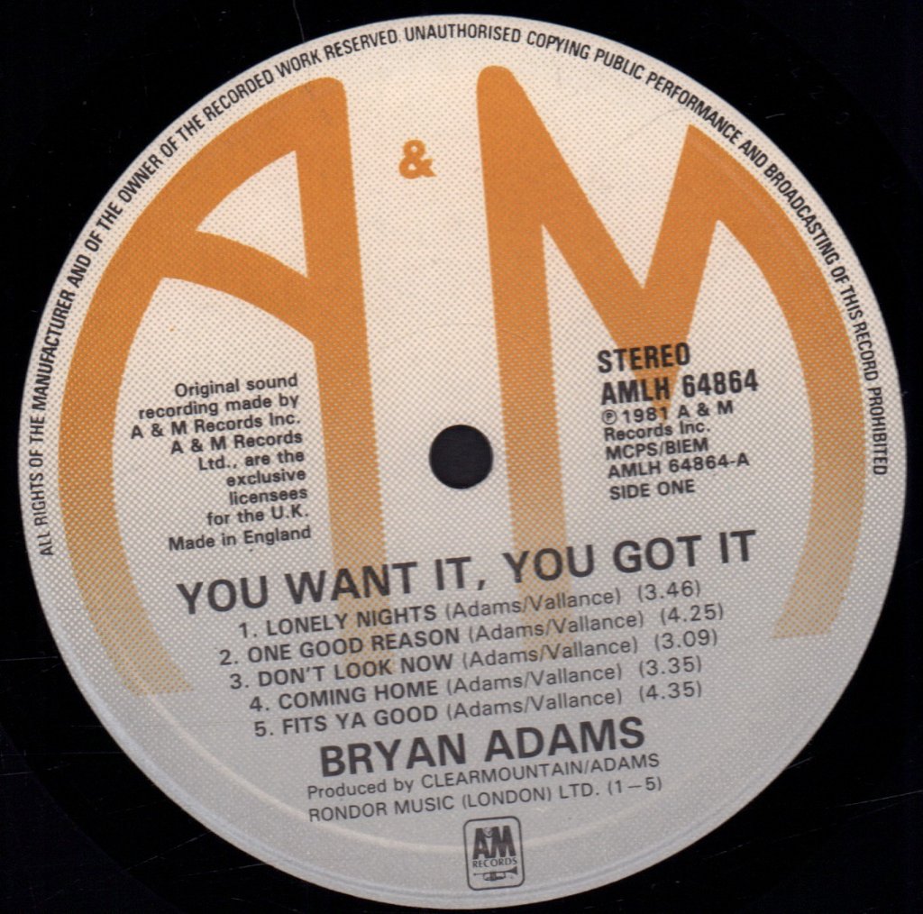 Bryan Adams - You Want It You Got It - Lp