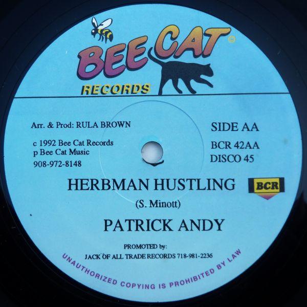 Commissioner D / Patrick Andy - A Who Seh - 12 Inch