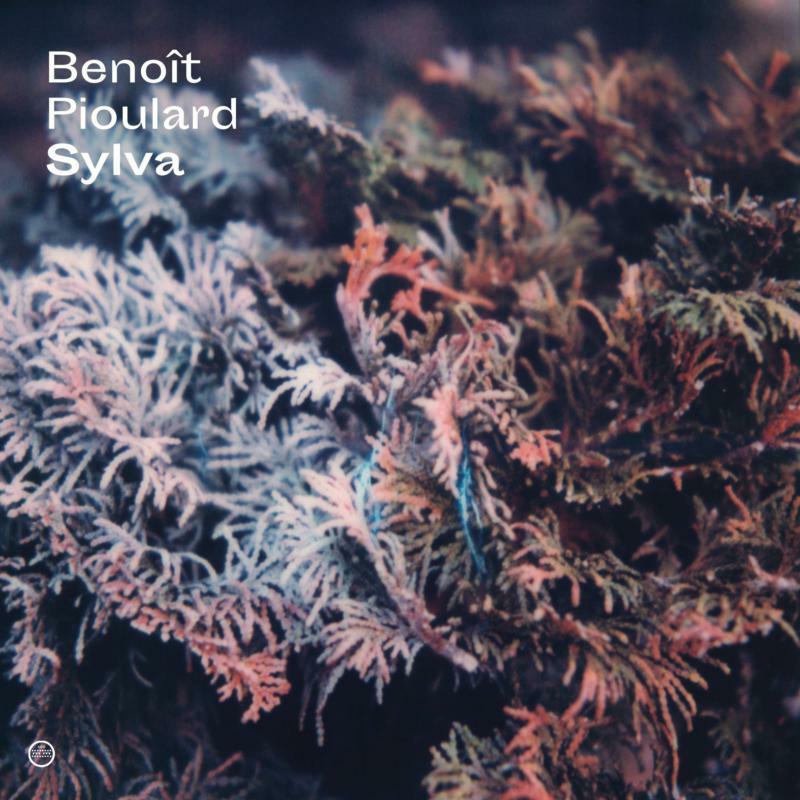 Benoit Pioulard - Sylva - Cd