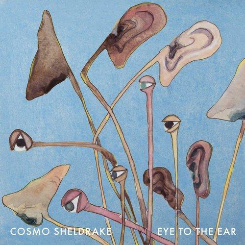 Cosmo Sheldrake - Eye To the Ear - Lp