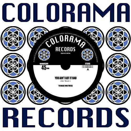 Teenage Waitress - You Ain't Got It Bad - 7 Inch