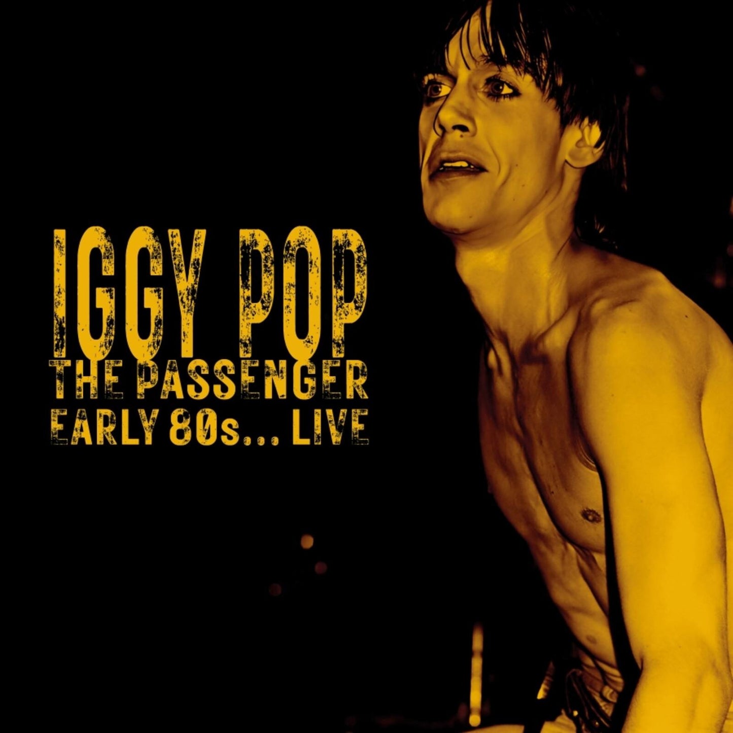 Iggy Pop - Passenger: Early 80s Live - Double Cd