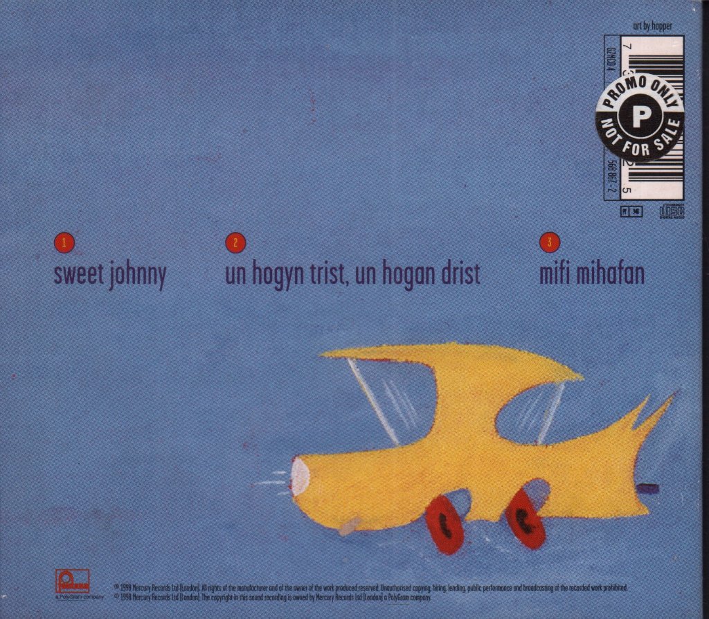 Gorky's Zygotic Mynci - Sweet Johnny - Cd