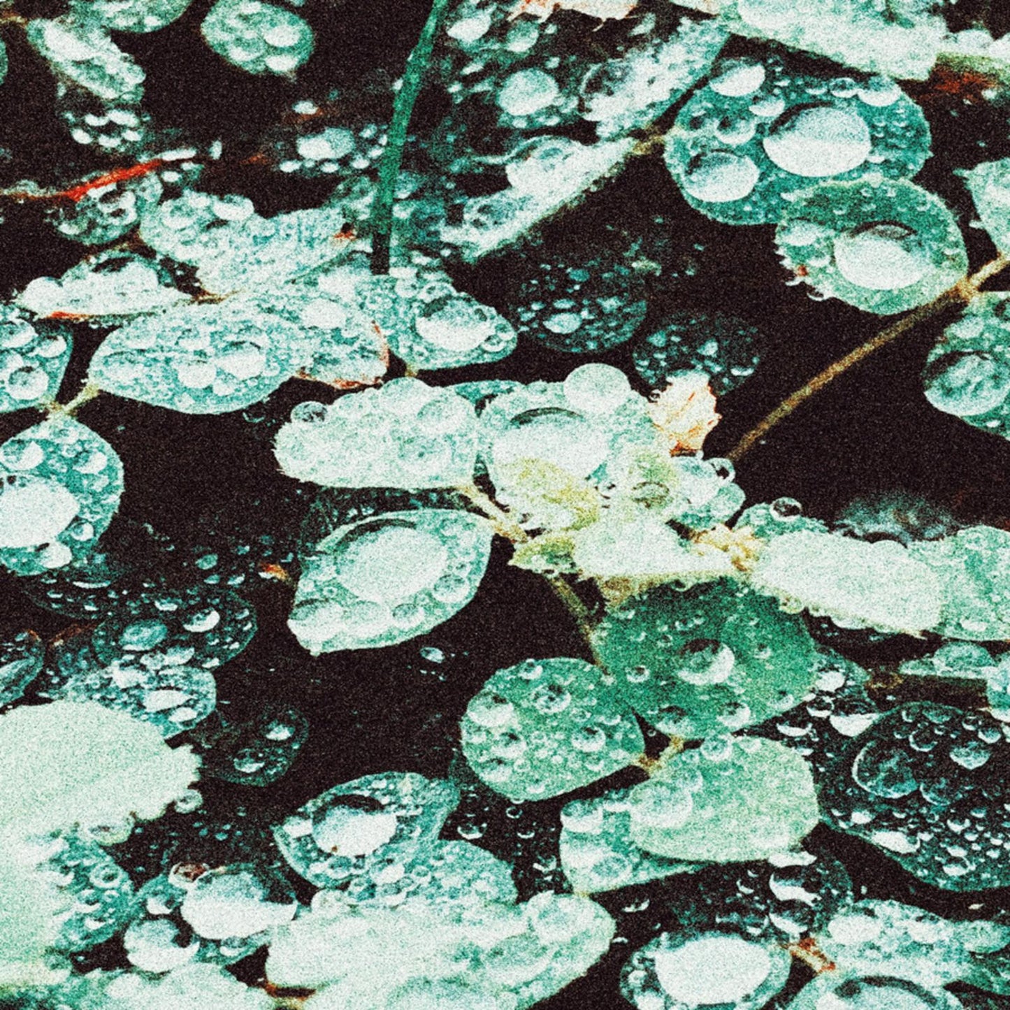Sadness - Rain Chamber - 12 Inch