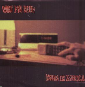 Belles In Monica - What D'ya Need - 12 Inch