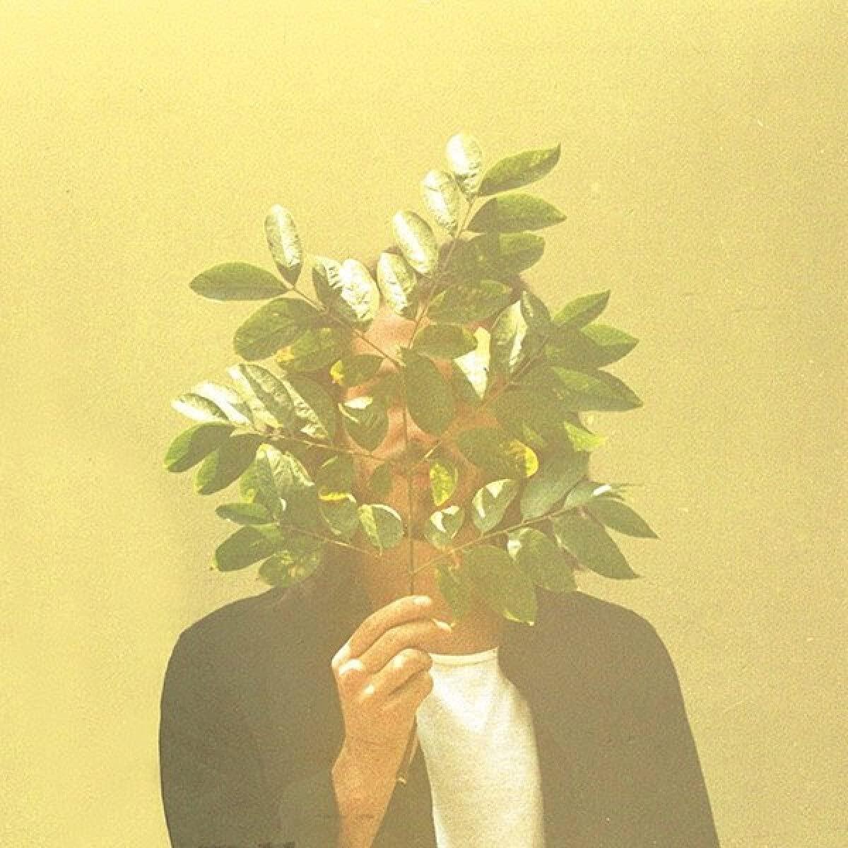 FKJ - French Kiwi Juice - Double Lp