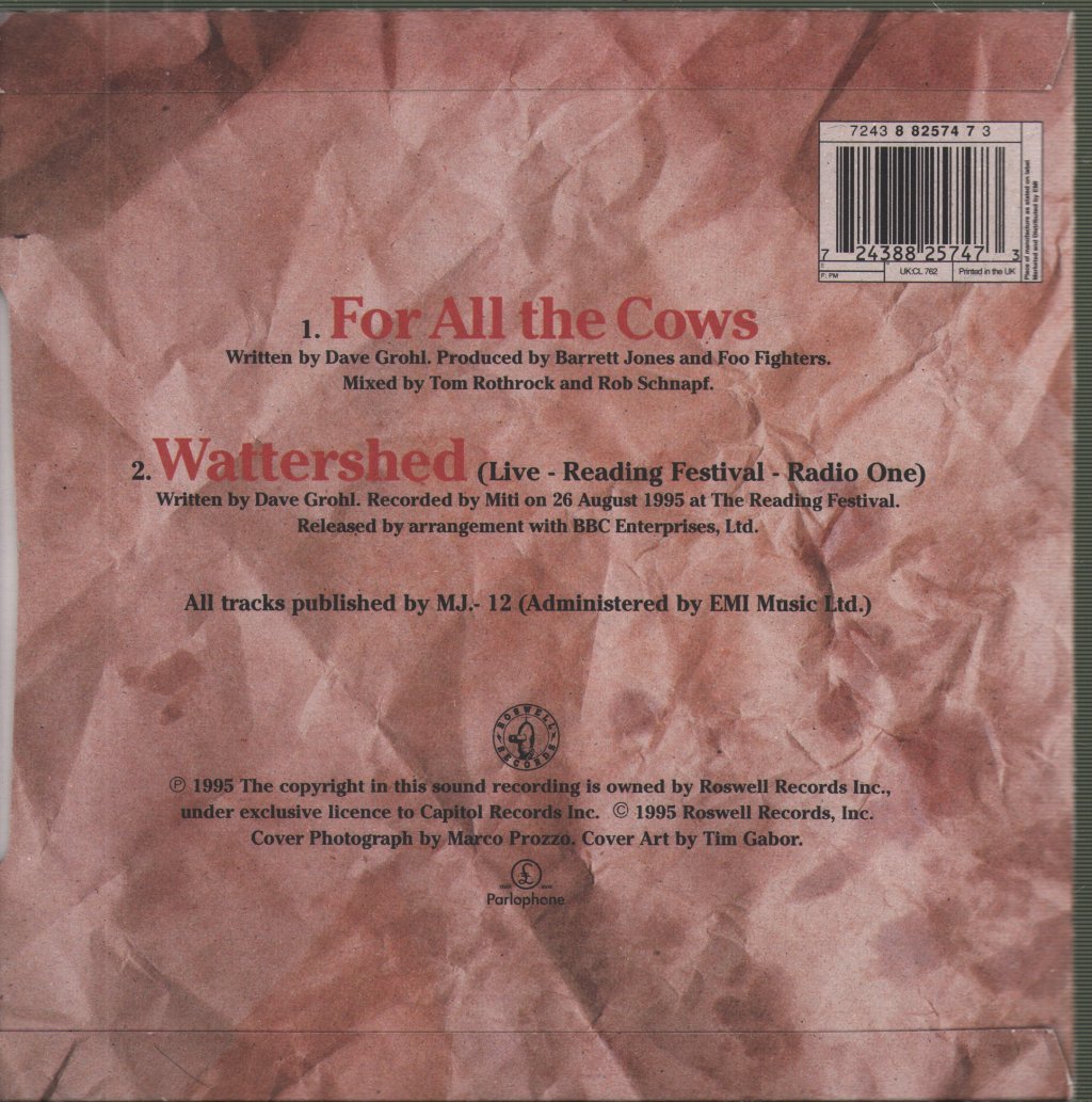 Foo Fighters - For All The Cows - 7 Inch