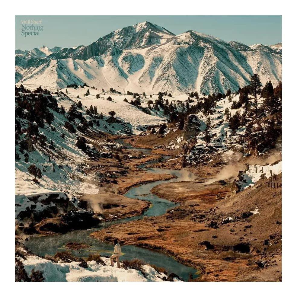 Will Sheff - Nothing Special - Lp