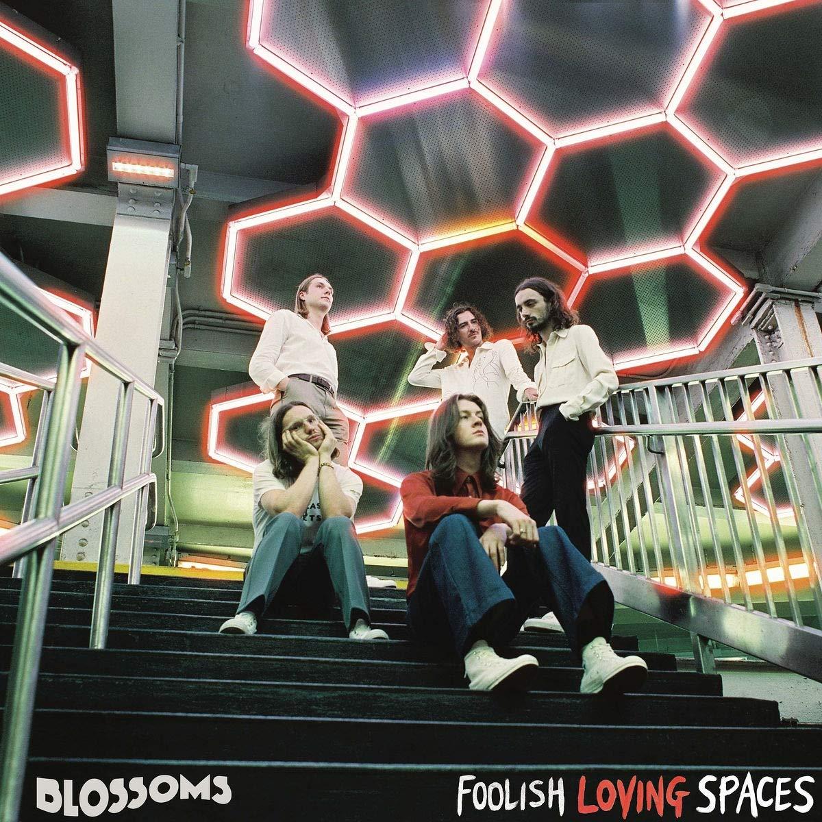 Blossoms - Foolish Loving Spaces - Cd
