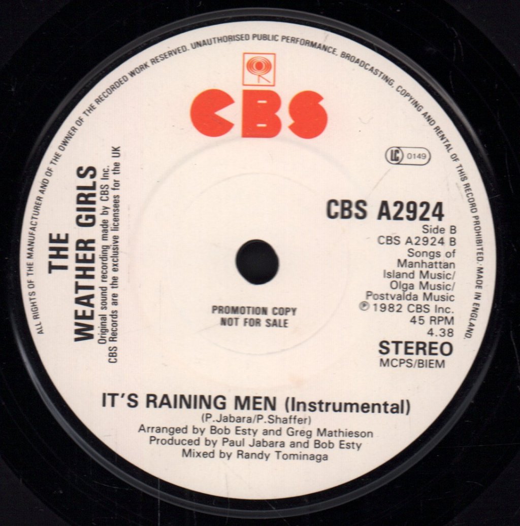 Weather Girls - It's Raining Men - 7 Inch