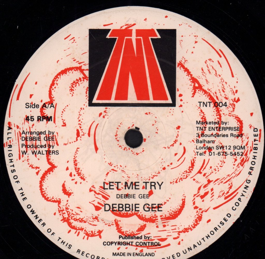 Debbie Gee - Will I Ever Do - 12 Inch