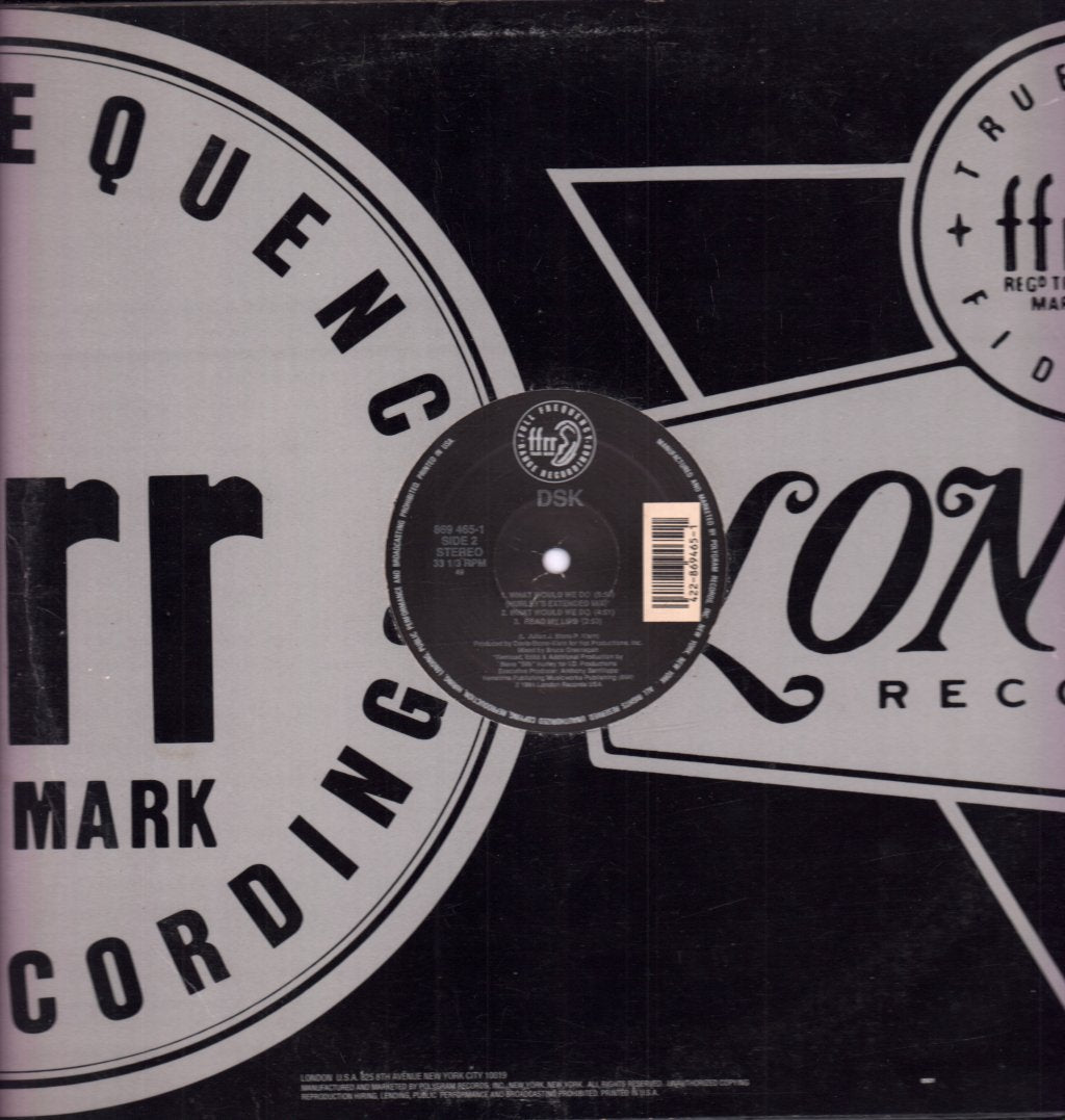 Dsk - What Would We Do - 12 Inch
