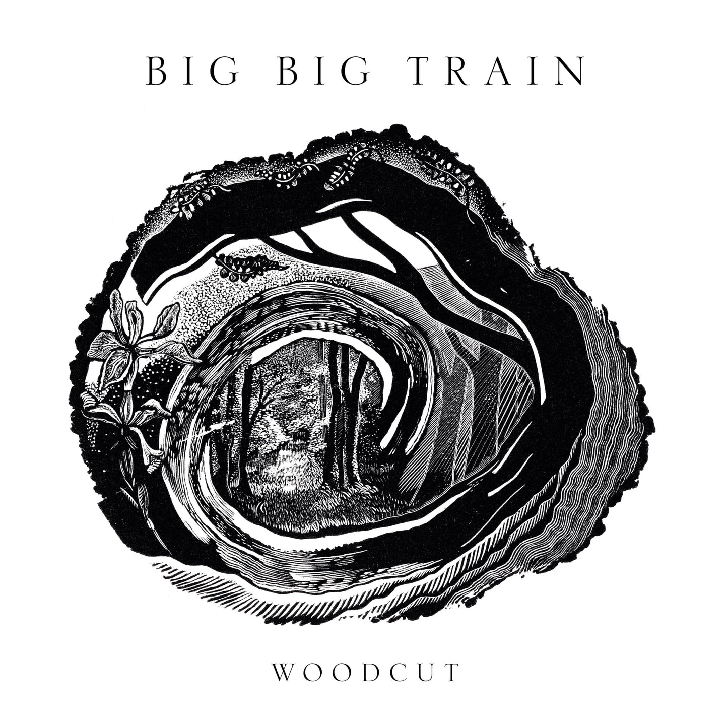 Big Big Train - Woodcut - Cd