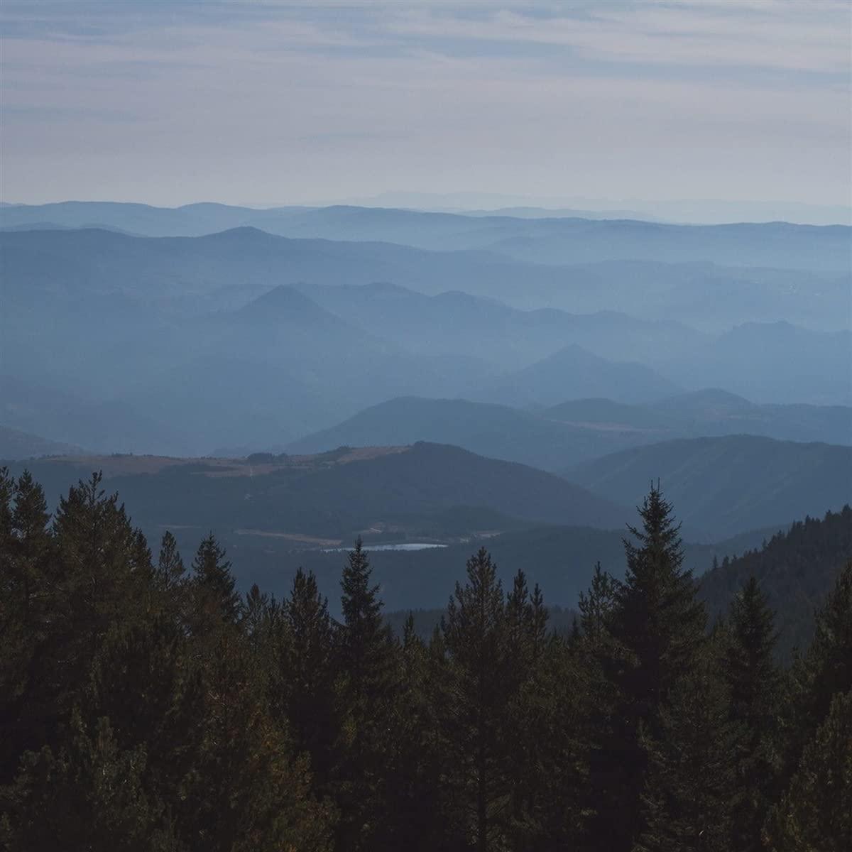 Maybeshewill - No Feeling Is Final - Lp
