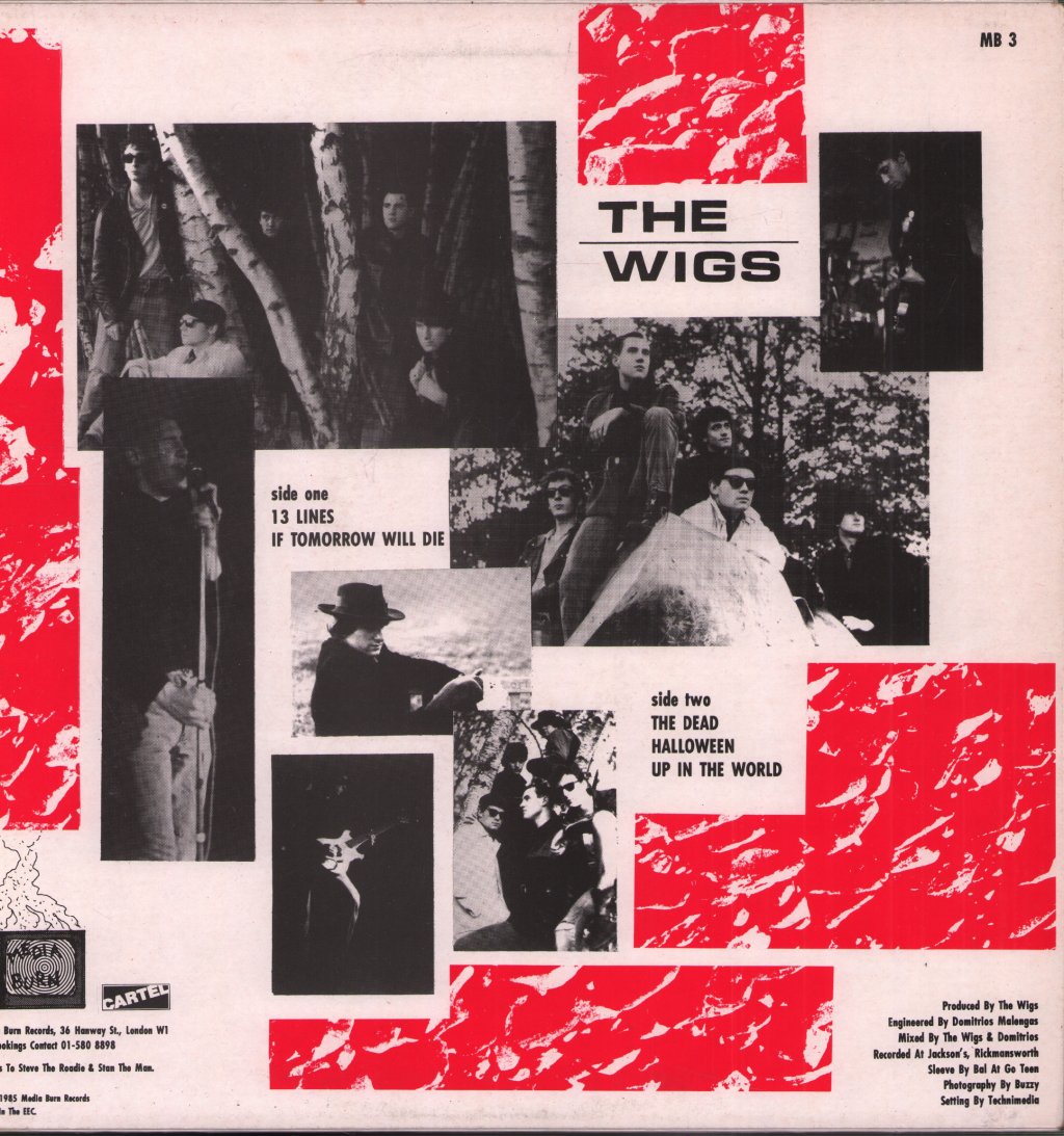 Wigs - End Of The Obvious - 12 Inch