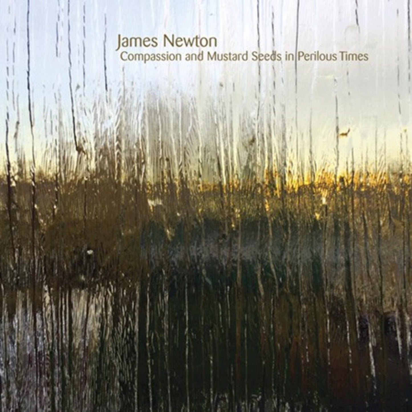 James Newton - Compassion and Mustard Seeds In Perilous Times - Cd
