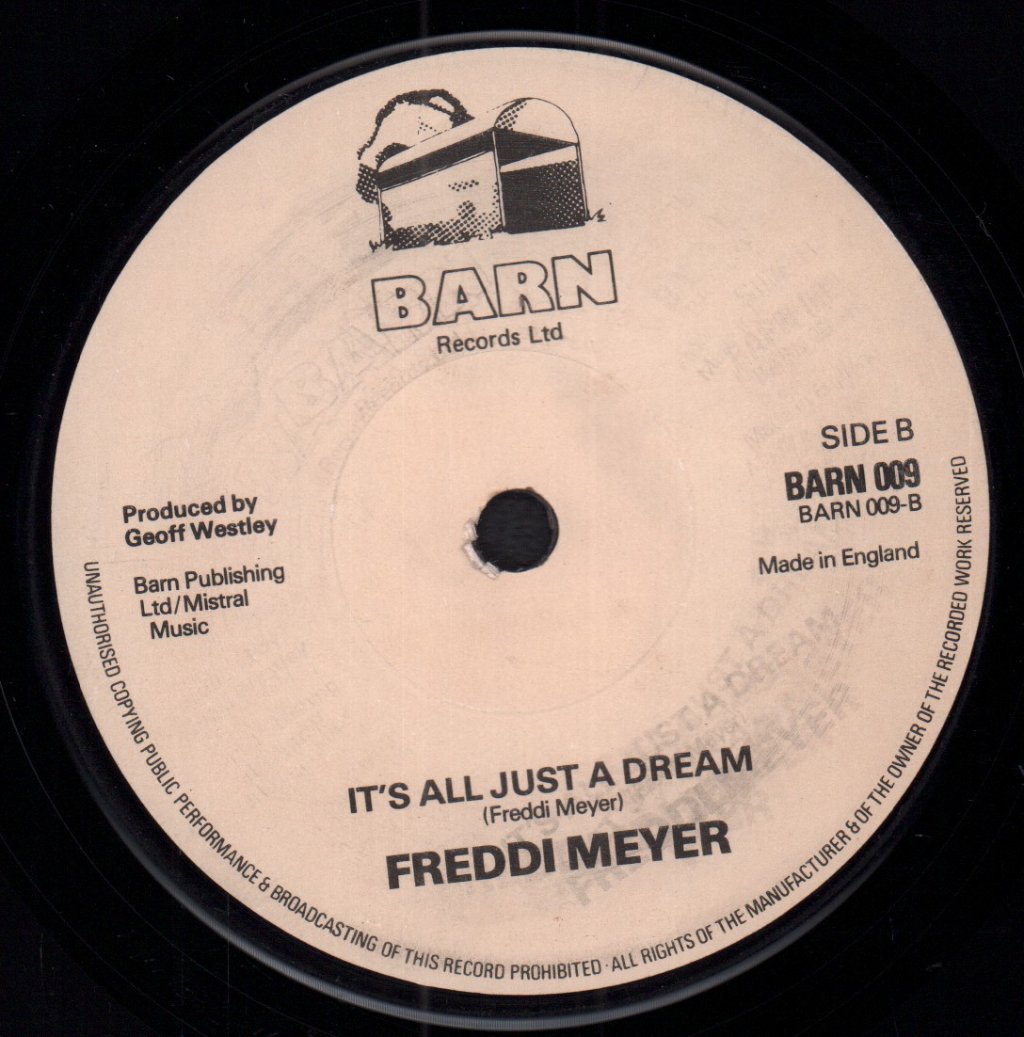 Freddi Meyer - Heroes And Losers - 7 Inch