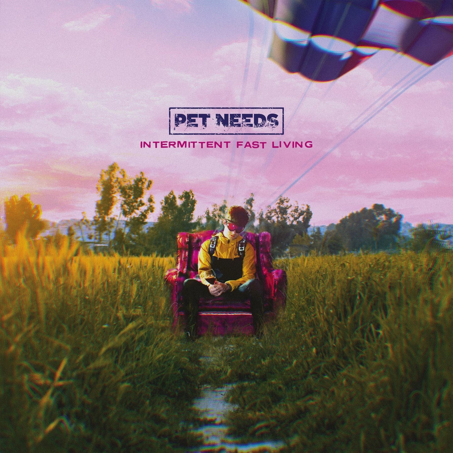 Pet Needs - Intermittent Fast Living - Lp
