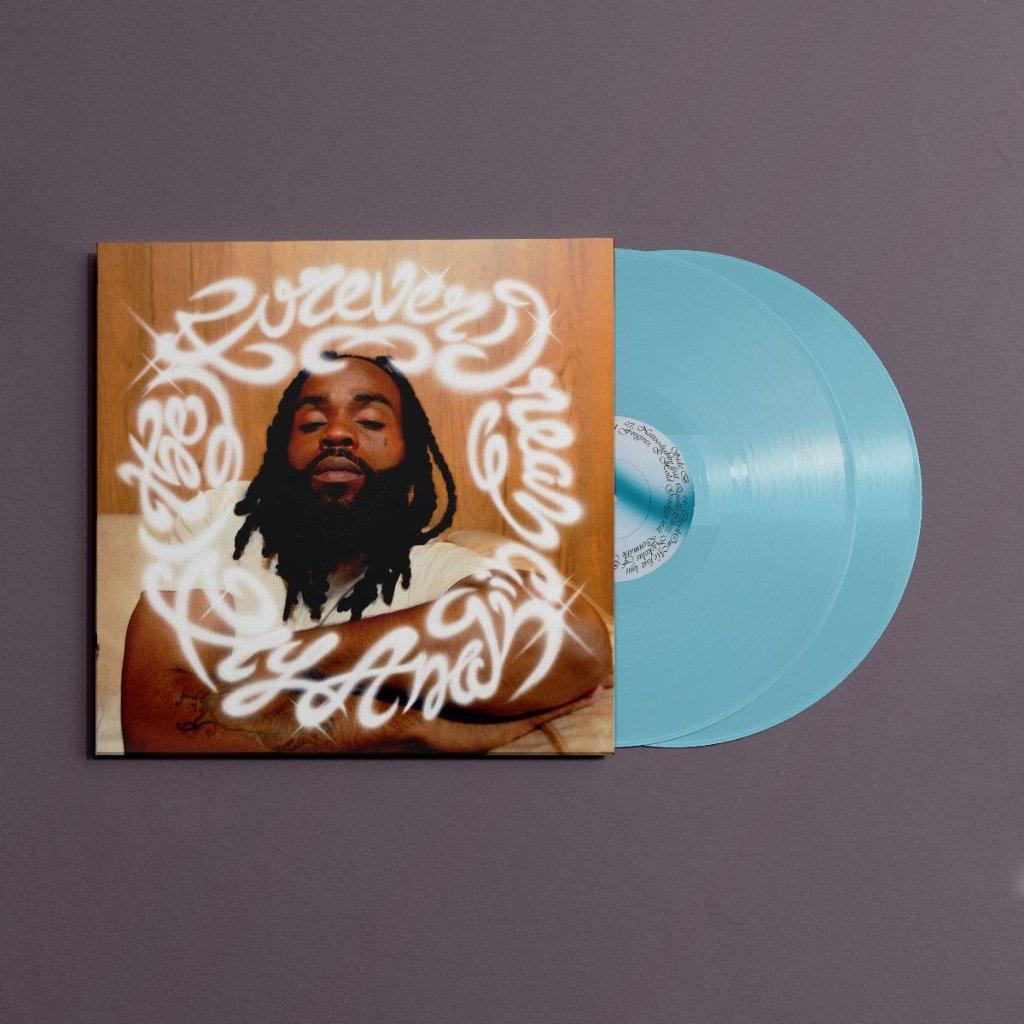 Fly Anakin - (The) Forever Dream - Double Lp