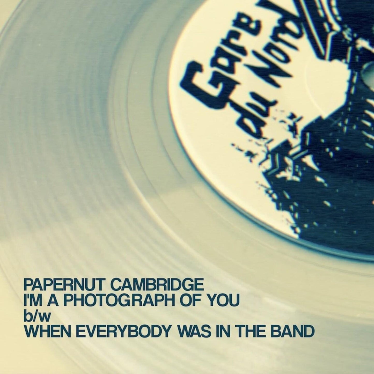 Papernut Cambridge - Im A Photograph of You - 7 Inch