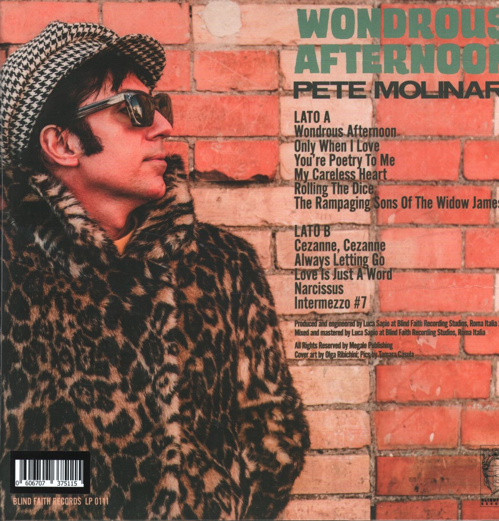 Pete Molinari - Wondrous Afternoon - Lp