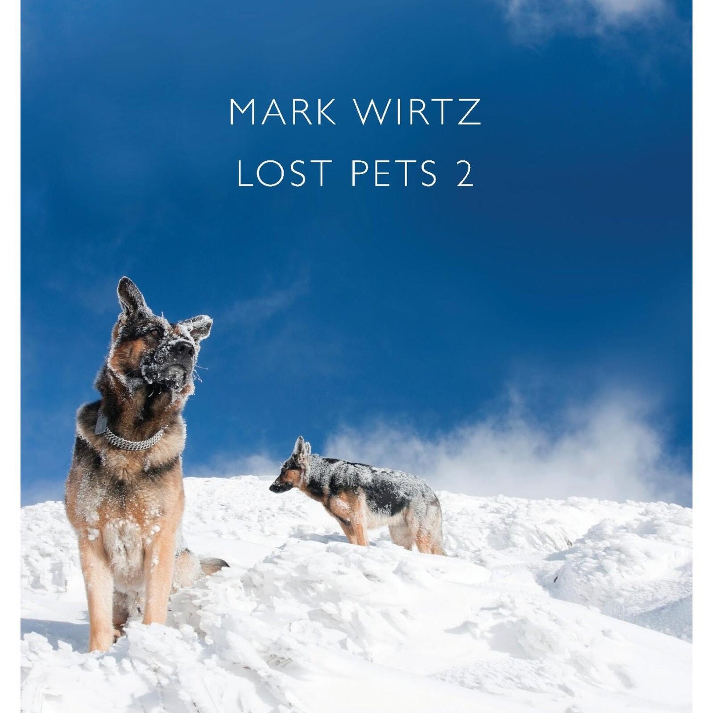 Mark Wirtz - Lost Pets 2 - Cd