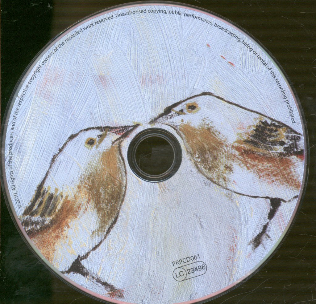David Rotheray - Life Of Birds - Cd