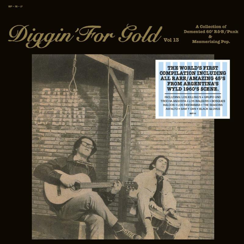 Various Artists - Diggin' For Gold Vol. 13 - Lp