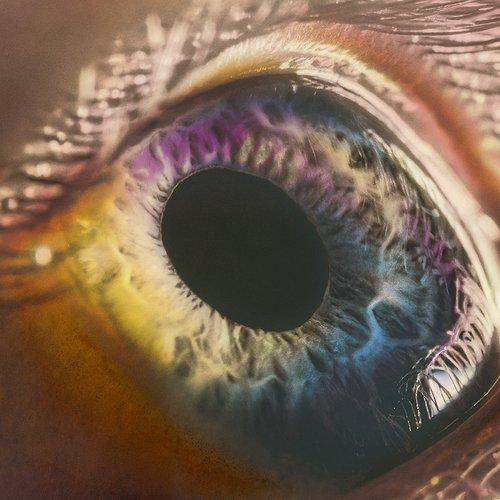 Arcade Fire - We - Lp
