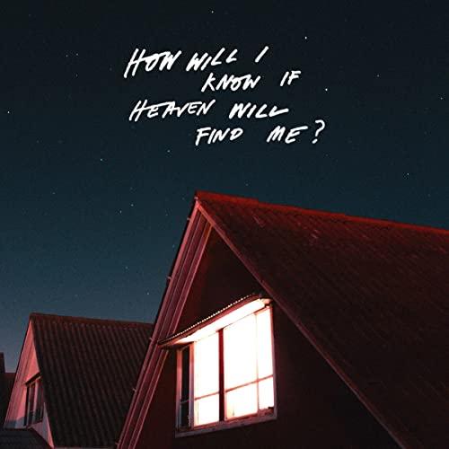 Amazons - How Will I Know If Heaven Will Find Me - Lp