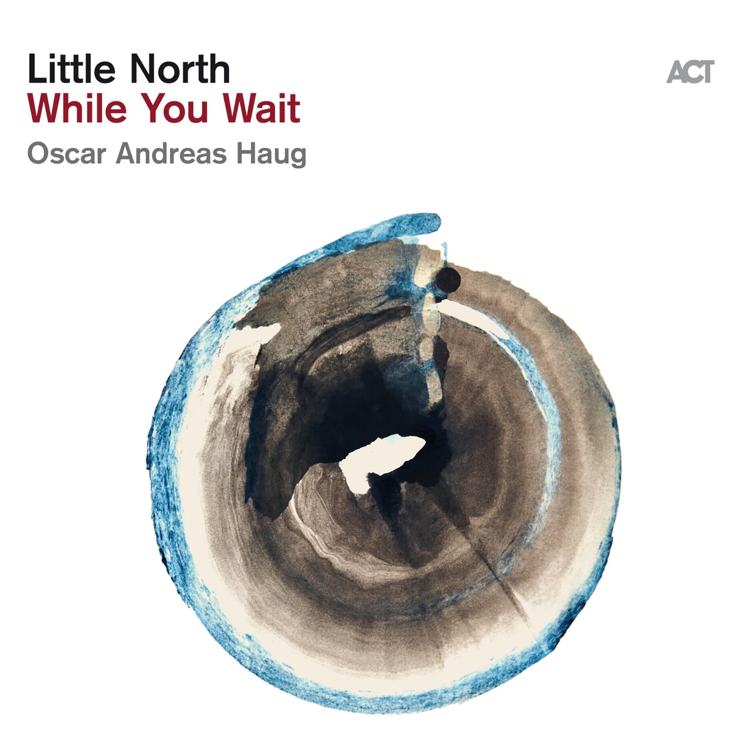 Little North - While You Wait - Lp
