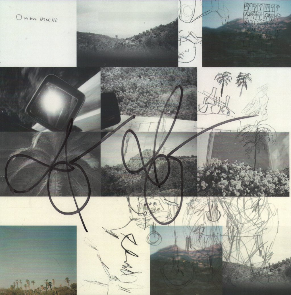 Fionn Regan - O Avalanche - Lp