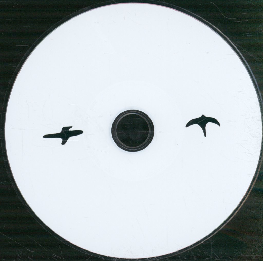 Joshua Abrams Natural Information Society - Simultonality - Cd