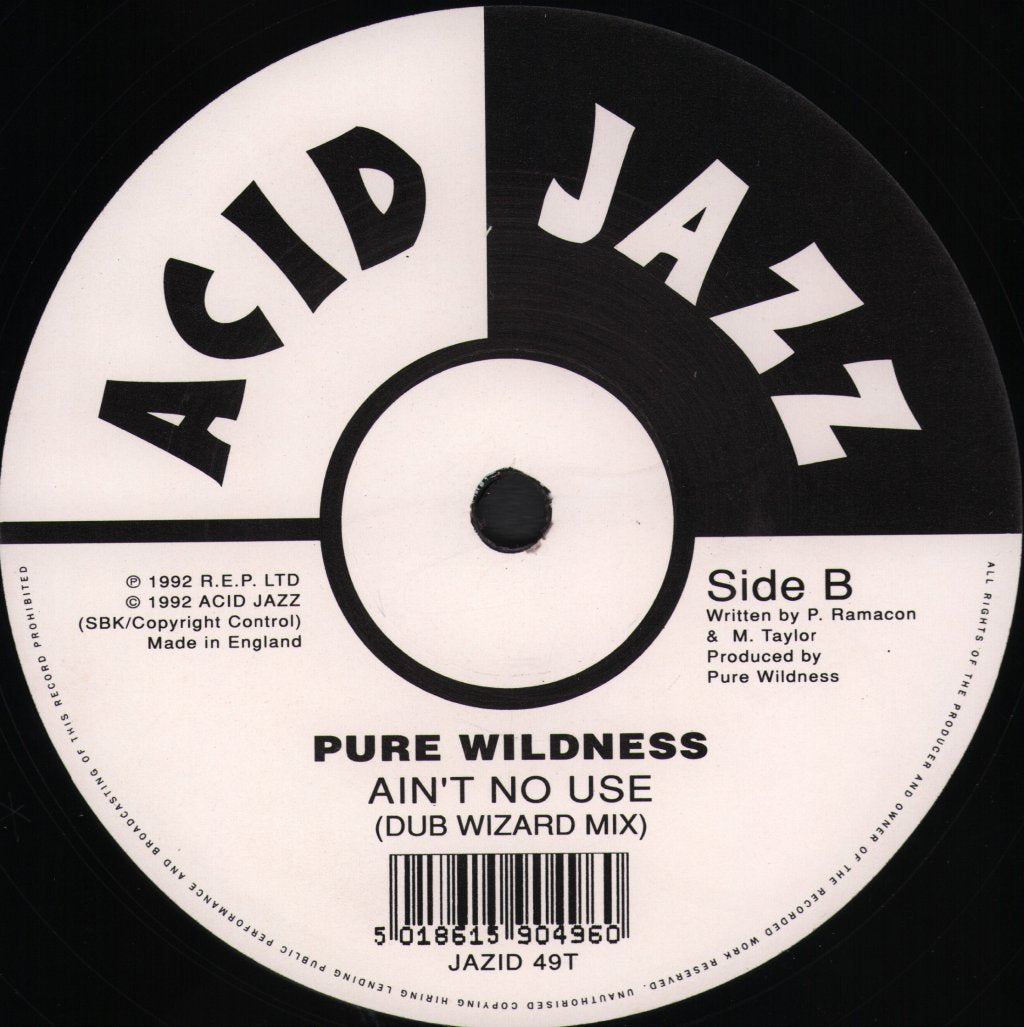 Pure Wildness - Ain't No Use - 12 Inch