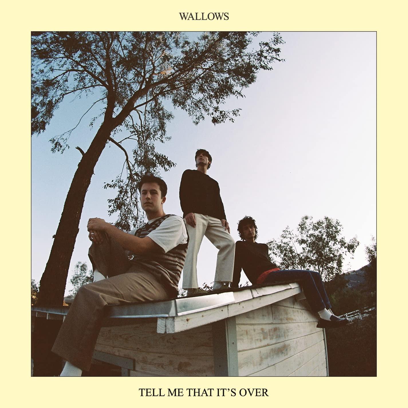 Wallows - Tell Me That It's Over - Lp